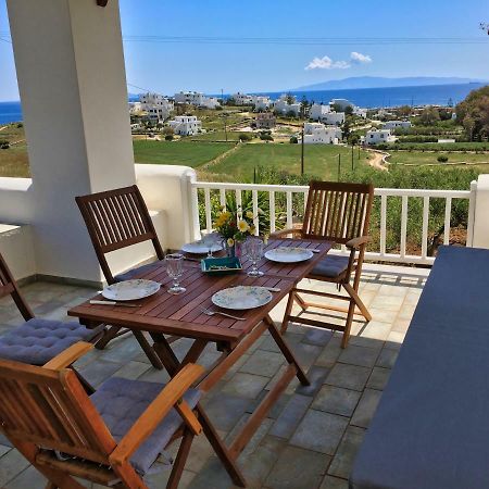Anthoula'S Sea View Apartment Piso Livadi Esterno foto