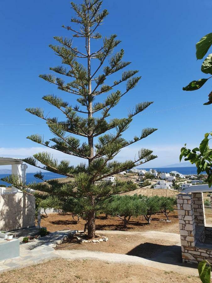 Anthoula'S Sea View Apartment Piso Livadi Esterno foto