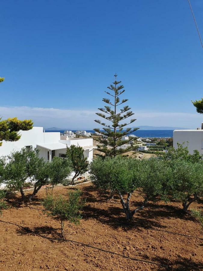 Anthoula'S Sea View Apartment Piso Livadi Esterno foto