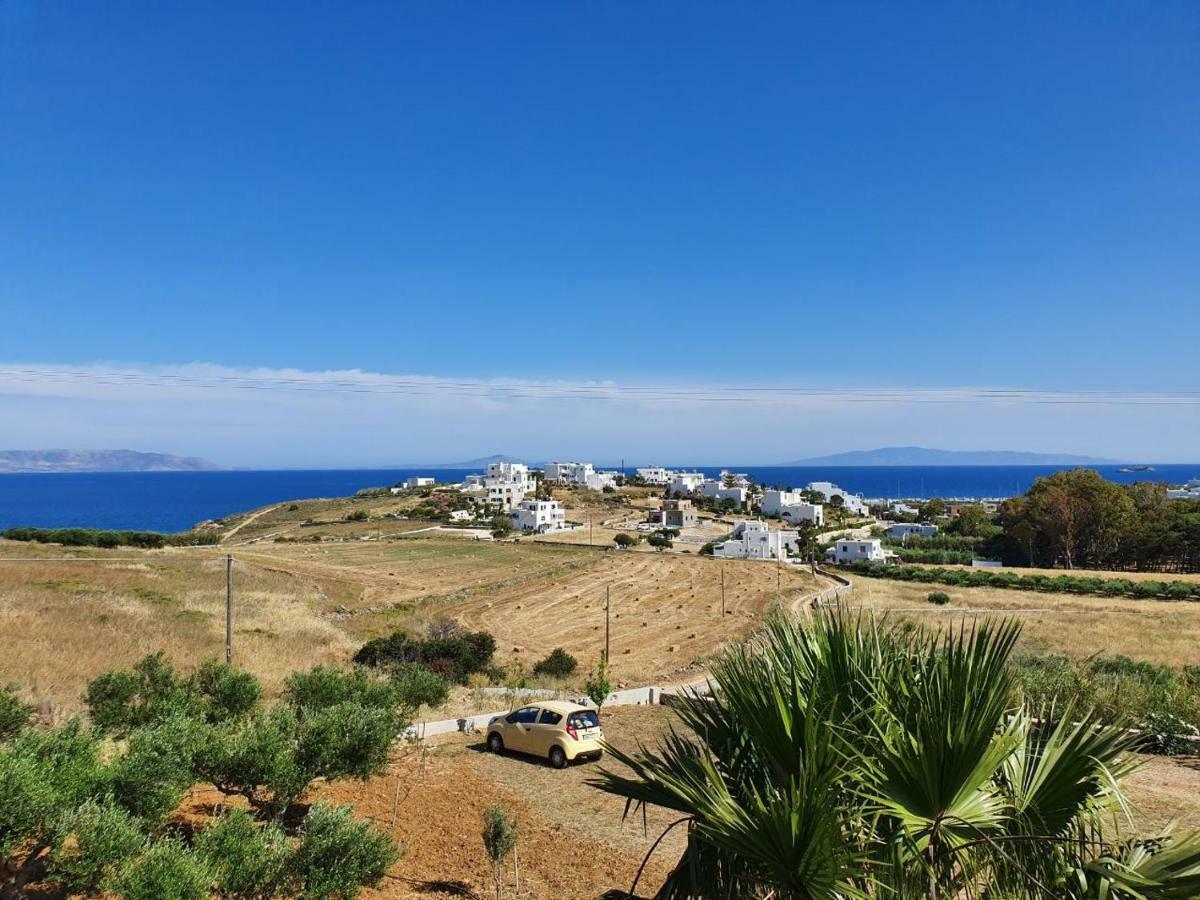 Anthoula'S Sea View Apartment Piso Livadi Esterno foto